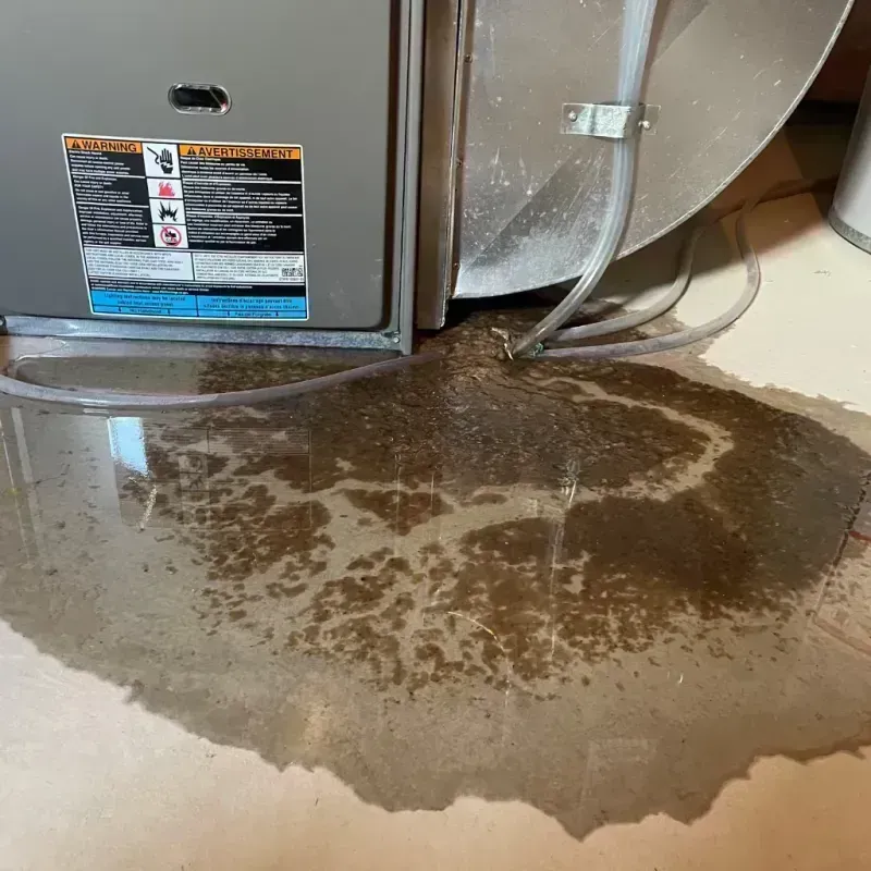 Appliance Leak Cleanup in Palos Hills, IL